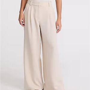 Express Blush Wide-Leg Women's Pants
